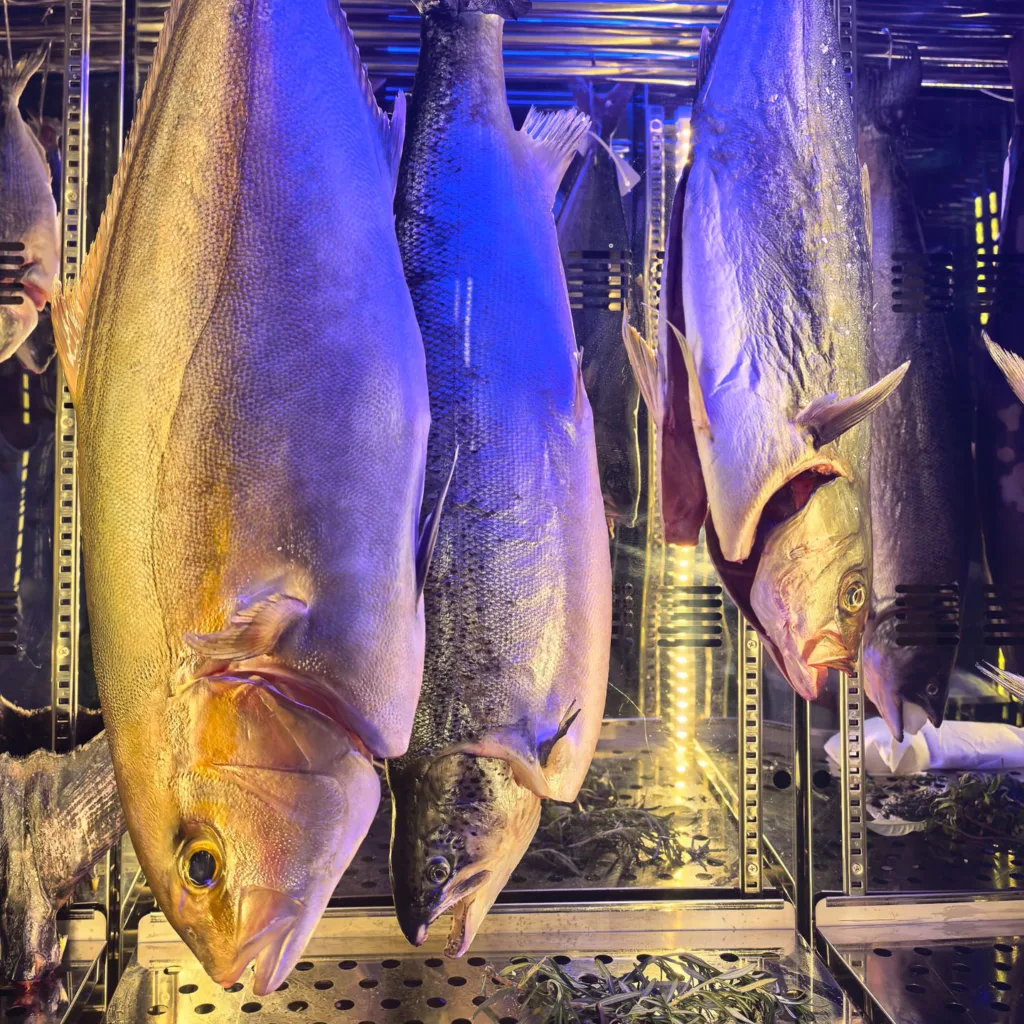 Whole fish ageing cabinet at Bloom Cuisine