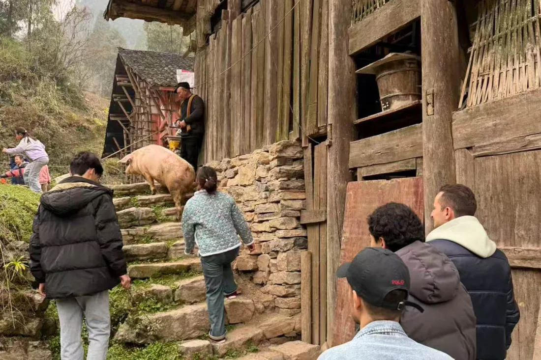 Mountain scenery and rural village experiences during a private Wulong day tour